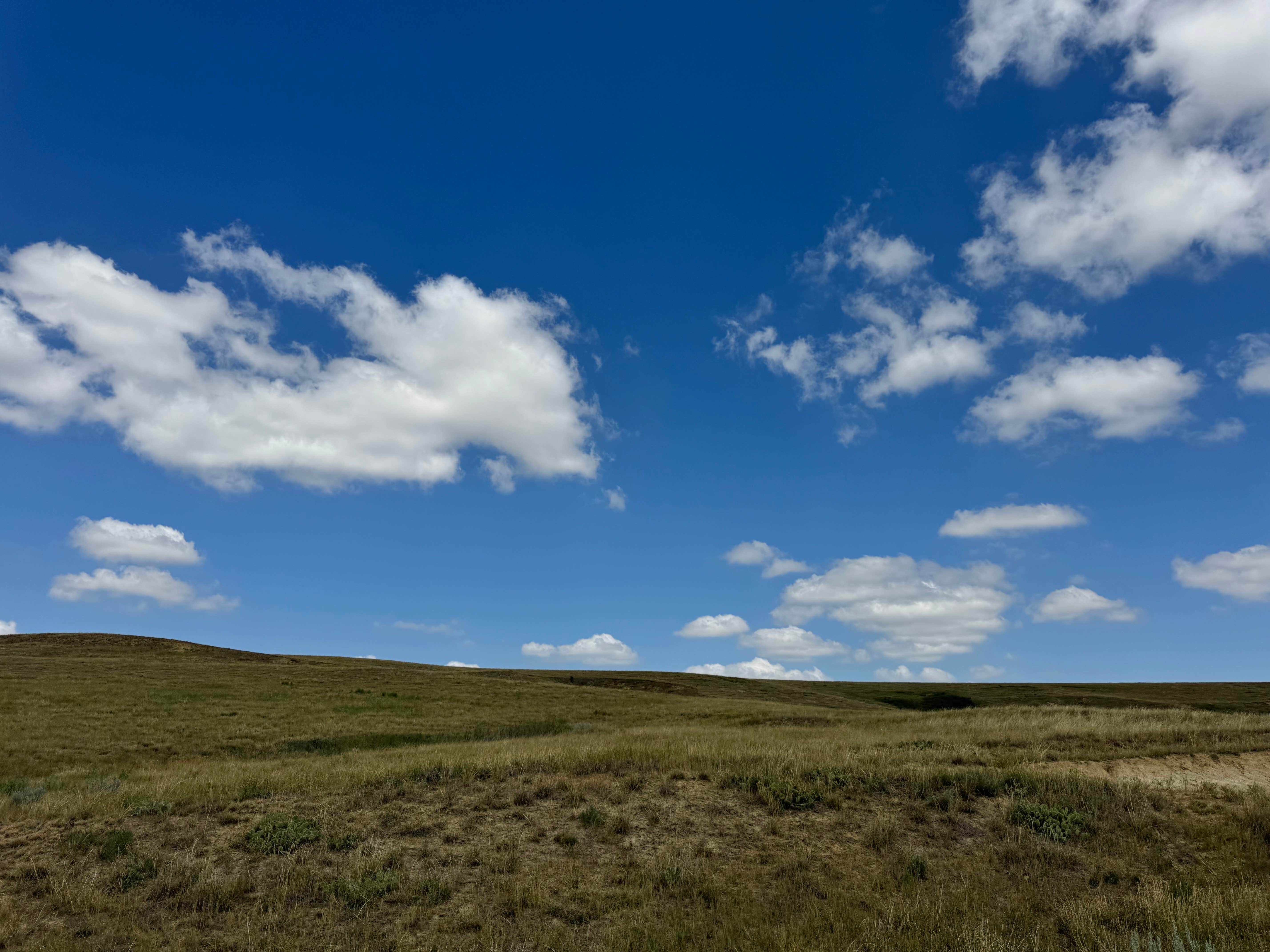 Camper-submitted photo at Buffalo Gap National Grasslands near Interior, SD