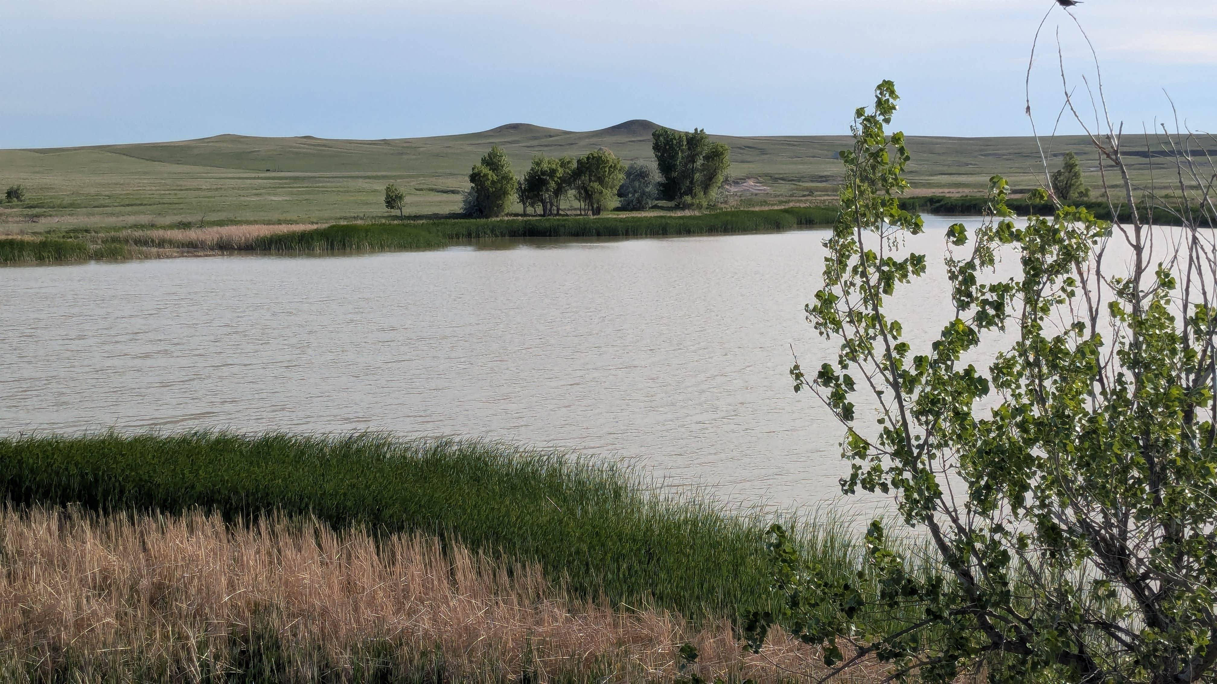 David M.'s photo of a dispersed camping area at Buffalo Gap National Grasslands near Harrison, NE