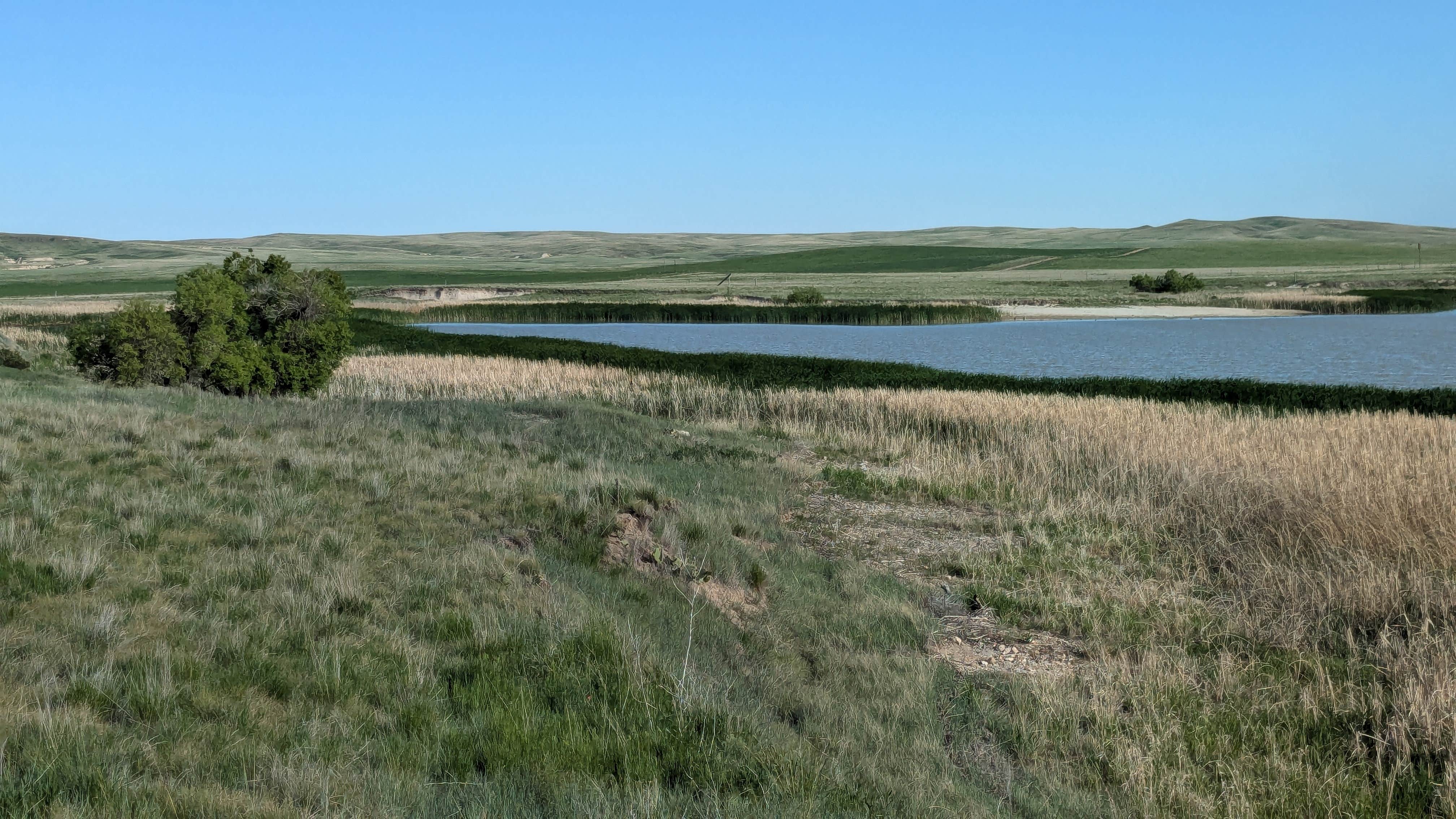 Camper-submitted photo at Buffalo Gap National Grasslands near Harrison, NE
