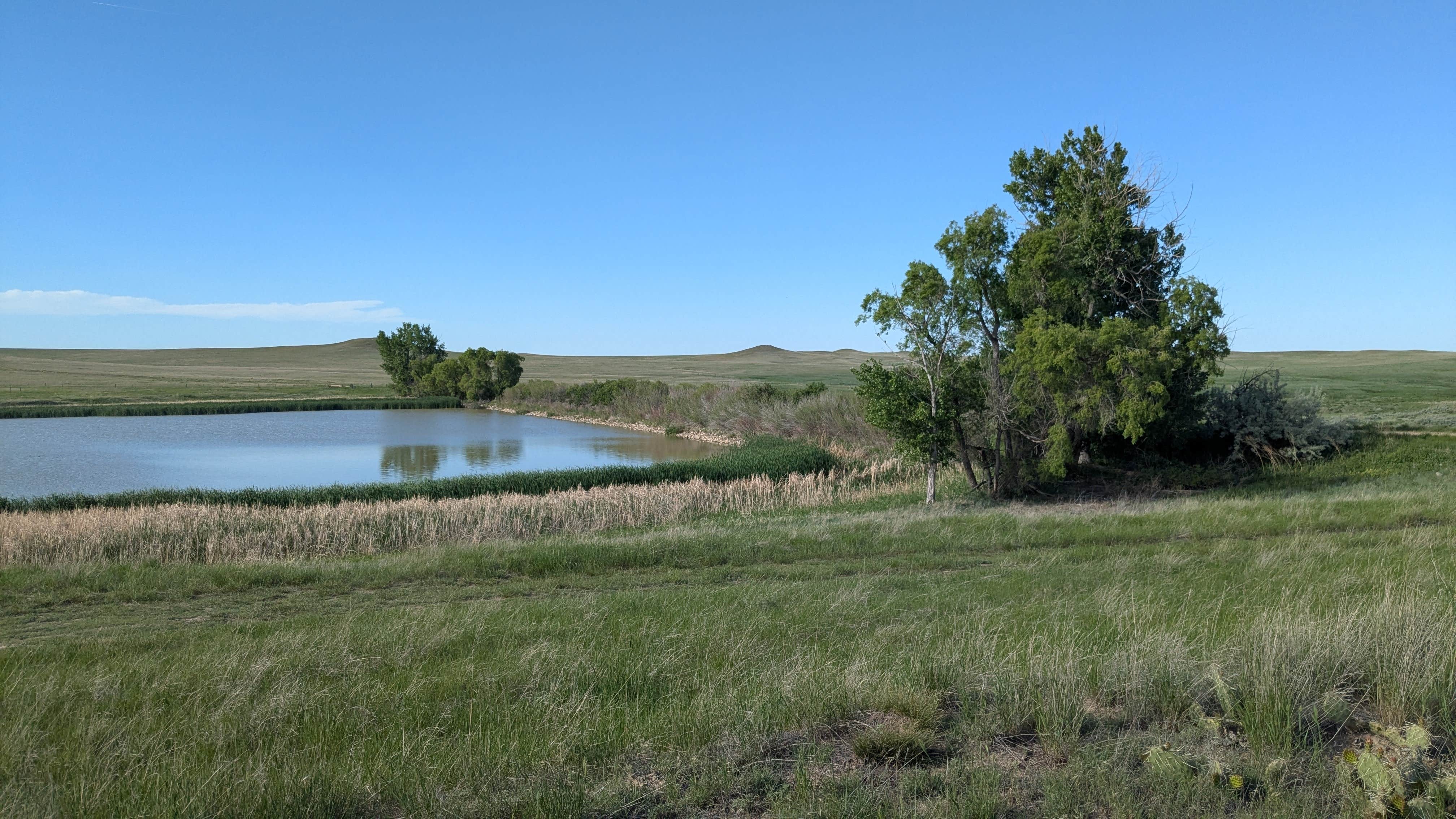 Camper-submitted photo at Buffalo Gap National Grasslands near Harrison, NE