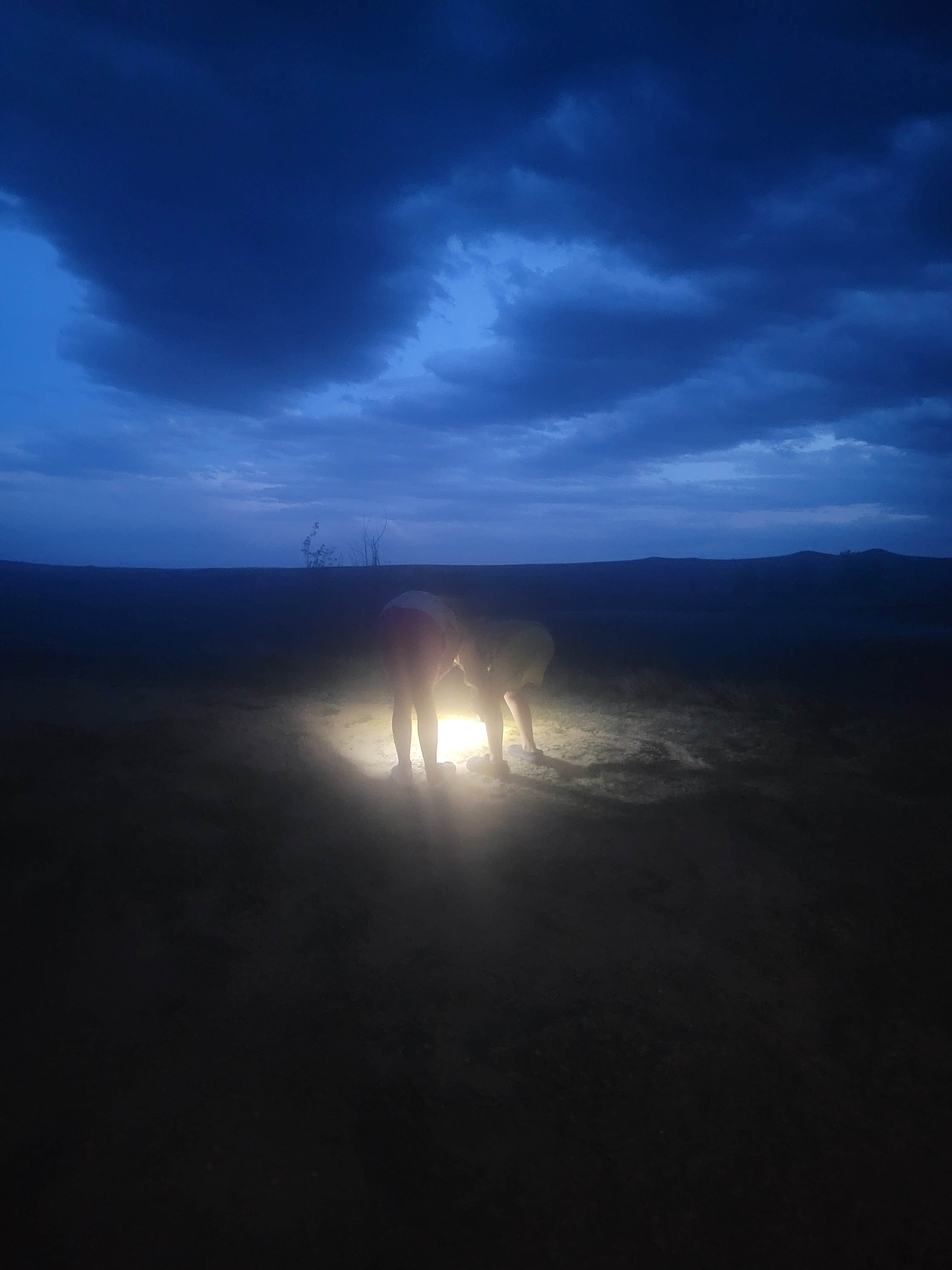 Cheyanne P.'s photo of a dispersed camping area at Buffalo Gap National Grasslands near Wind Cave National Park