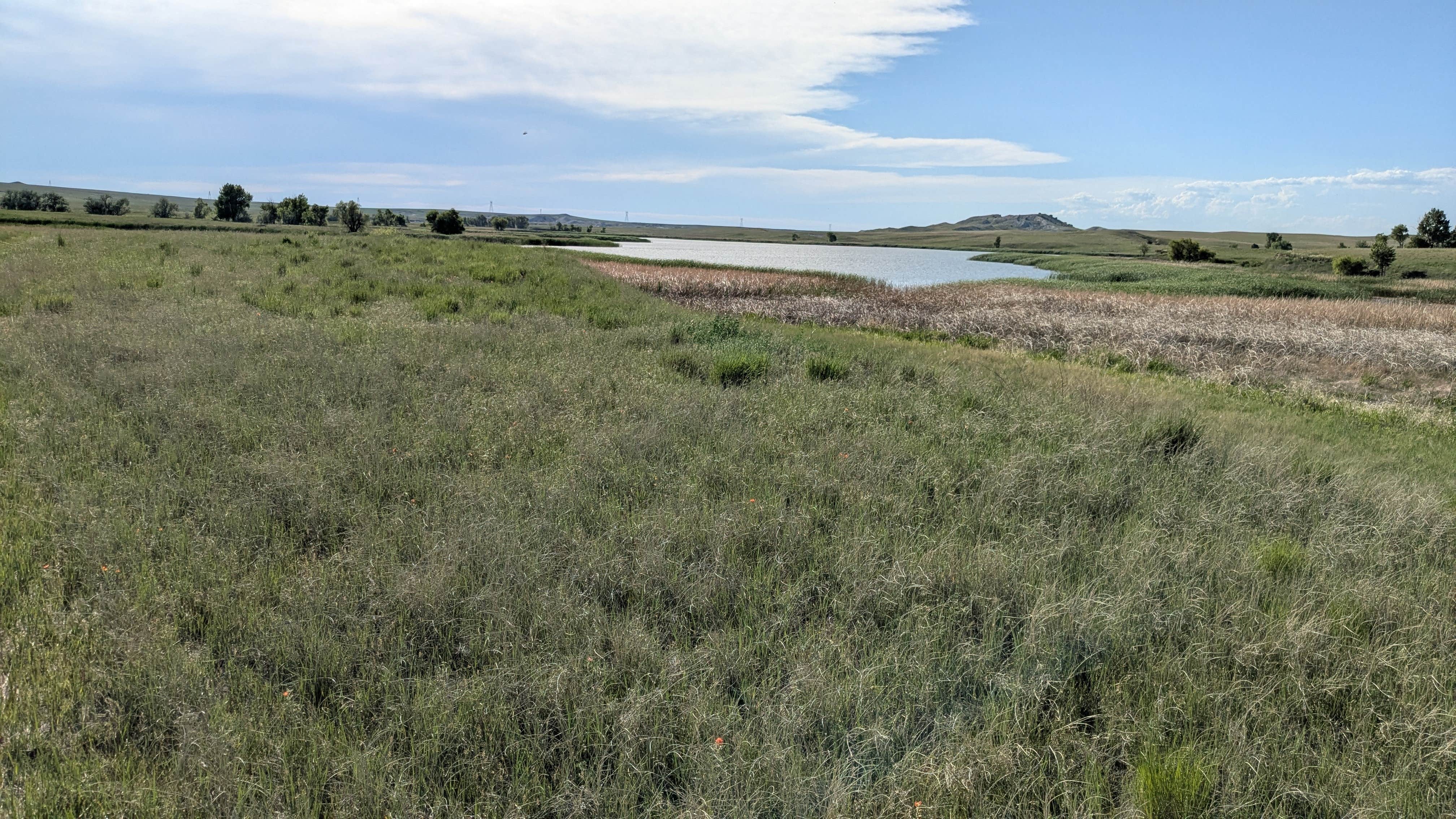 Camper-submitted photo at Buffalo Gap National Grasslands near Harrison, NE