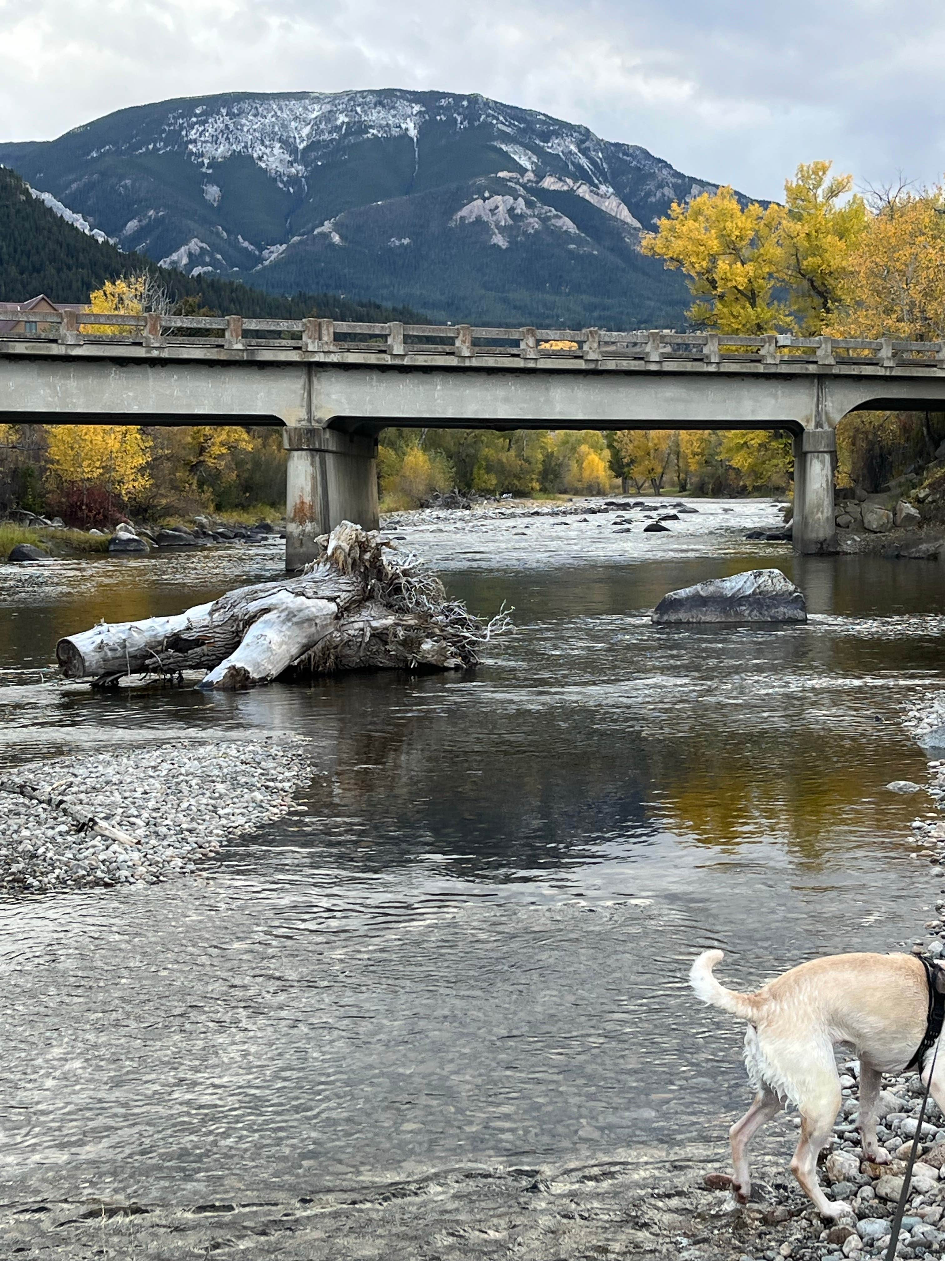 Camper-submitted photo at Buffalo Jump Camp near Roscoe, MT