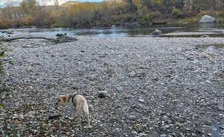 Mike M.'s photo of camping with pets at Buffalo Jump Camp near Melville, MT