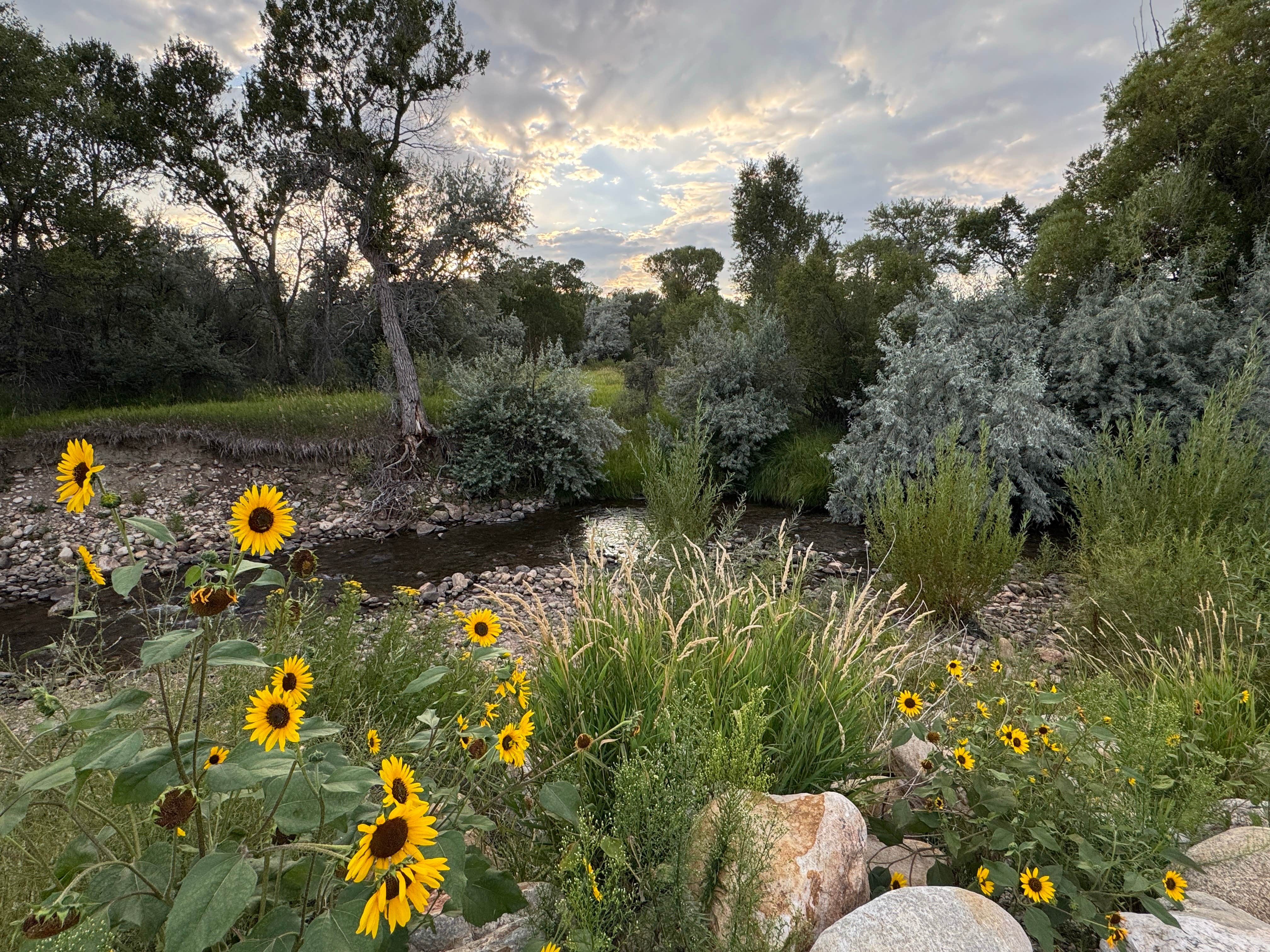 Camper-submitted photo at Buffalo KOA near Buffalo, WY