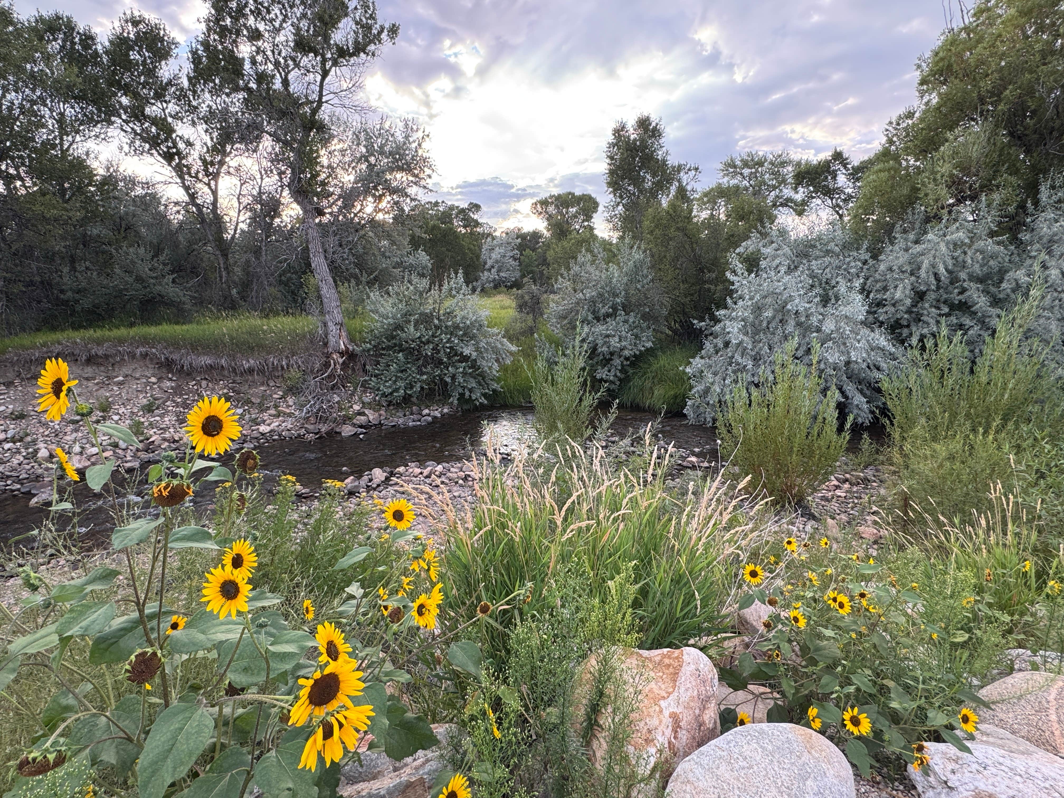 Camper-submitted photo at Buffalo KOA near Buffalo, WY