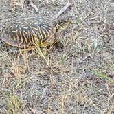 Review photo of Buffalo Lake National Wildlife Refuge by Richard M., September 22, 2026
