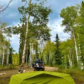 Review photo of Buffalo Pass Dispersed by Alicia H., July 16, 2026