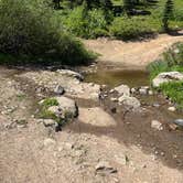 Review photo of Buffalo Pass Dispersed by Nora S., July 1, 2025