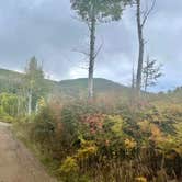 Review photo of Buffalo Pass Dispersed by Colyer D., July 30, 2024