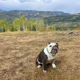 Review photo of Buffalo Pass Dispersed by Colyer D., July 30, 2024