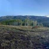 Review photo of Buffalo Pass Dispersed by Colyer D., July 30, 2024