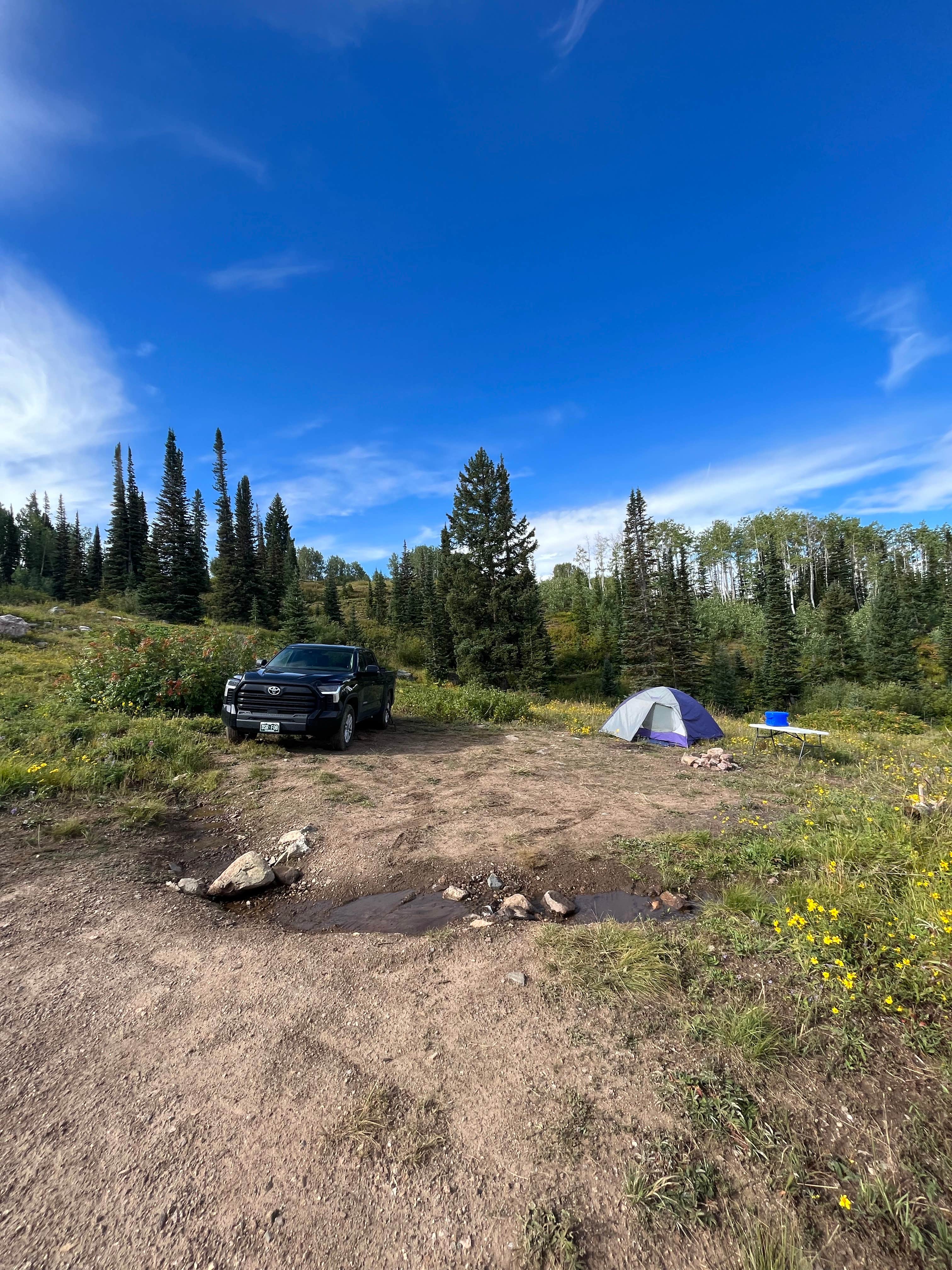 Rachael W.'s photo at Buffalo Pass Dispersed near Hayden, CO