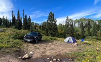 Rachael W.'s photo at Buffalo Pass Dispersed near Coalmont, CO