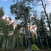 Review photo of Buffalo Pass Dispersed by Alicia H., July 16, 2026