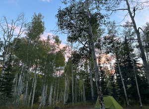 Buffalo Pass Dispersed