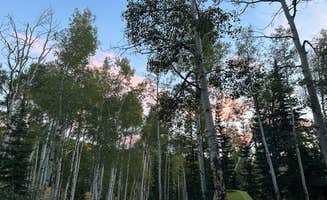 Alicia H.'s photo at Buffalo Pass Dispersed near Hayden, CO