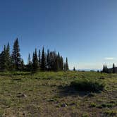 Review photo of Buffalo Pass Dispersed by Doug B., July 1, 2025