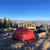 Review photo of Buffalo Pass Dispersed by Elizabeth F., October 2, 2023