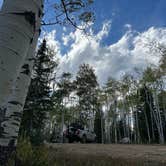 Review photo of Buffalo Pass Dispersed by Alicia H., July 16, 2026