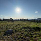 Review photo of Buffalo Pass Dispersed by Doug B., July 1, 2025