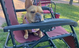 Brenda B.'s photo of camping with pets at Buffalo Ridge Camp Resort near Custer, SD