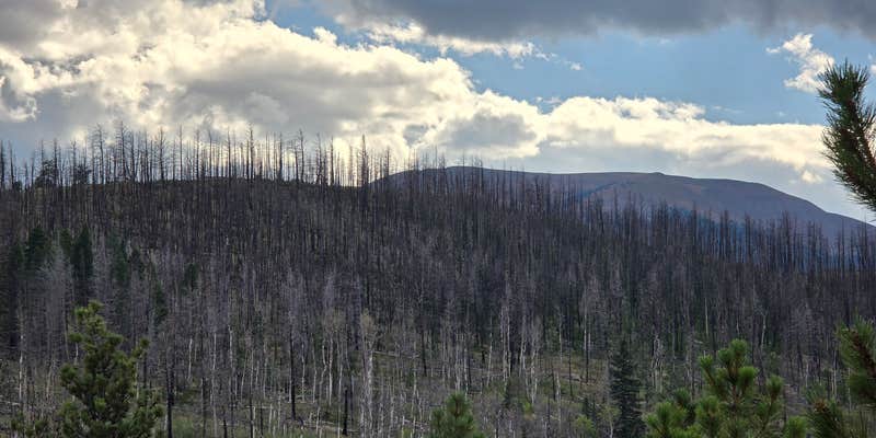 Camper submitted image from Buffalo Springs Dispersed