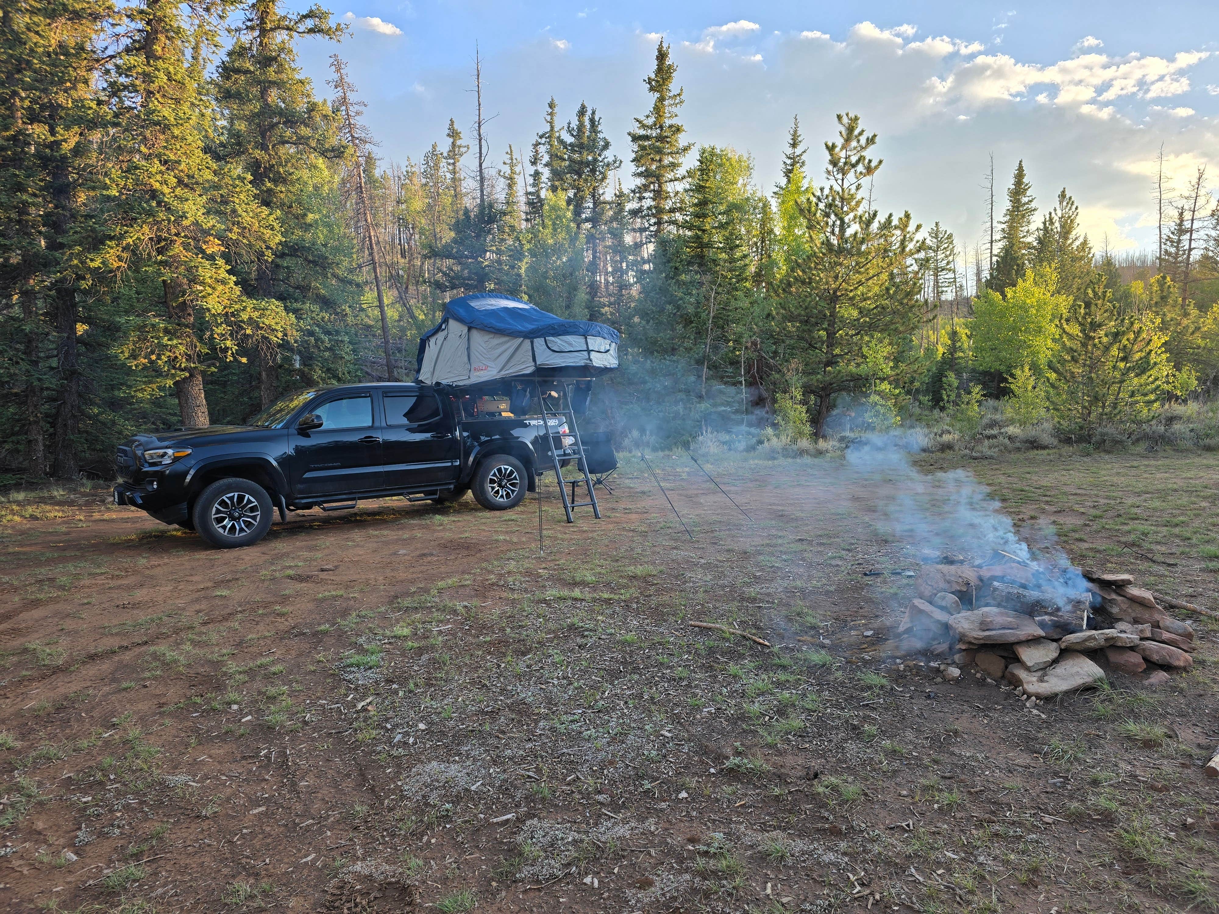 Camper submitted image from Buffalo Springs Dispersed - 2