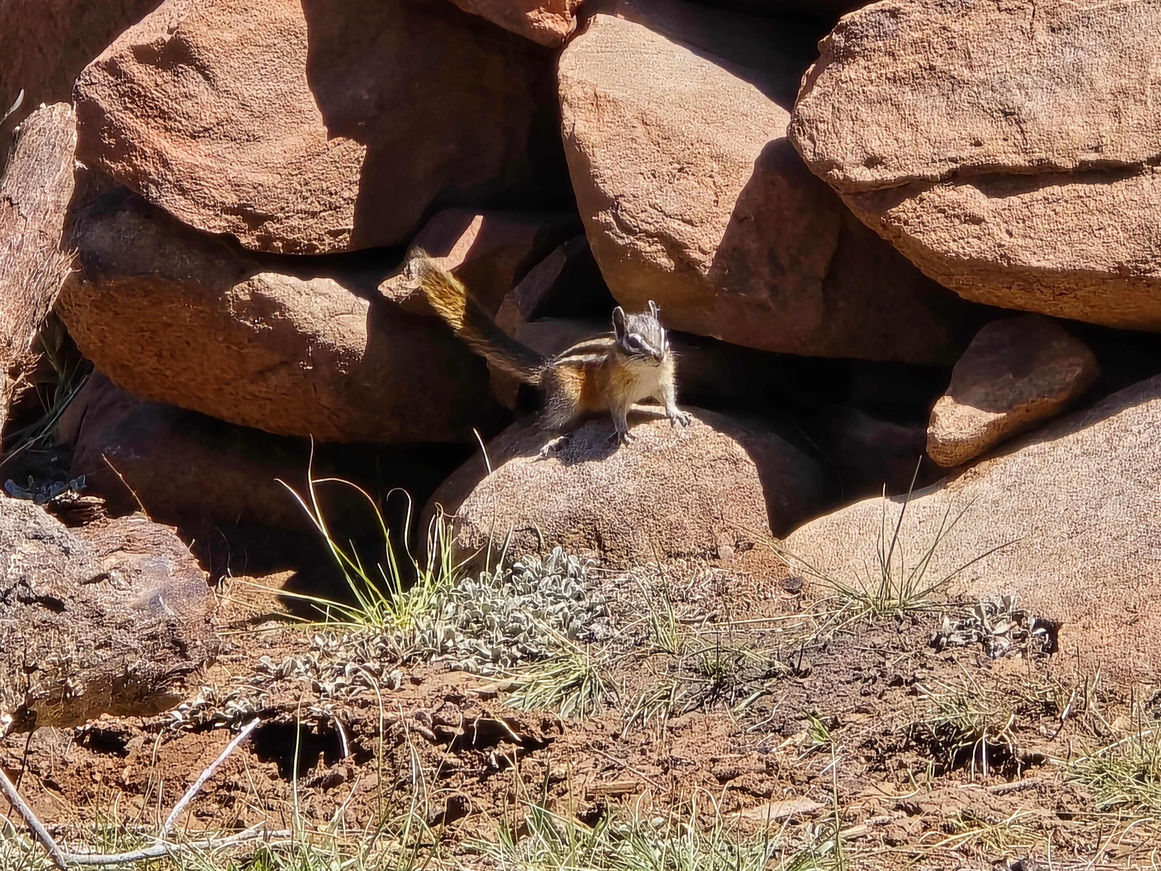 Camper-submitted photo at Buffalo Springs Dispersed near Hartsel, CO