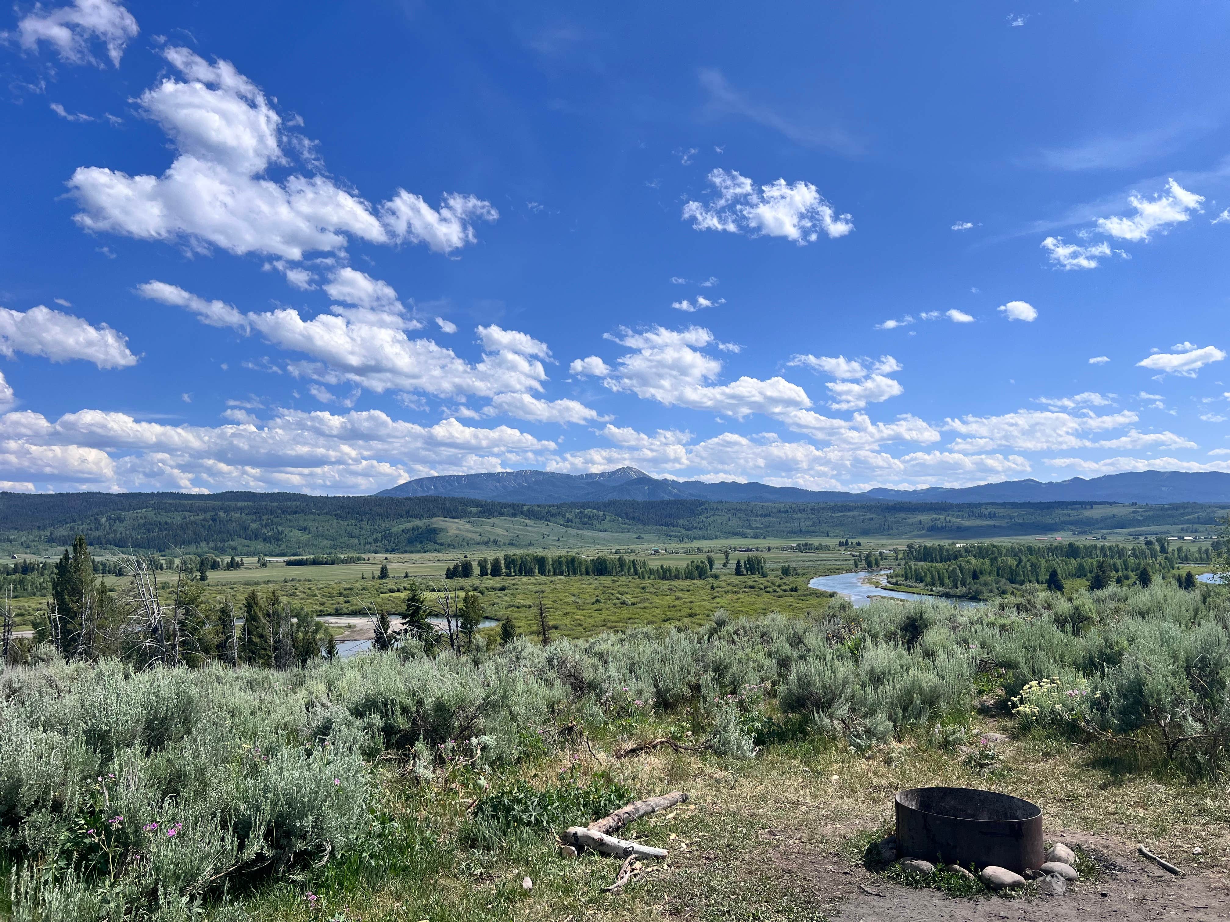 Reggi M.'s photo of a dispersed camping area at Buffalo Valley Campsites 4-7 near Moran, WY
