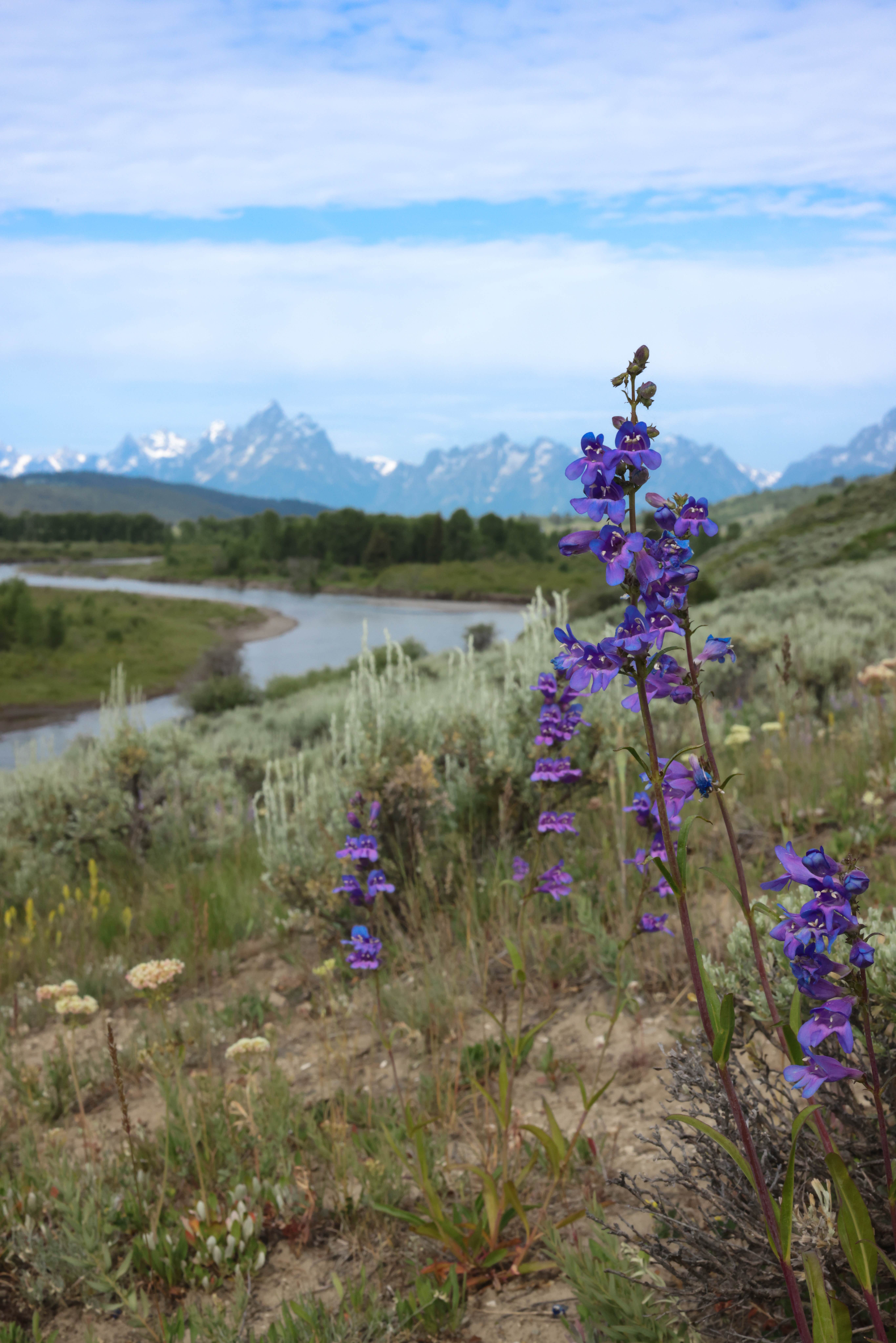 Camper-submitted photo at Buffalo Valley Campsites 4-7 near Moran, WY