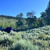 Review photo of Buffalo Valley Campsites 4-7 by Reggi M., June 29, 2025
