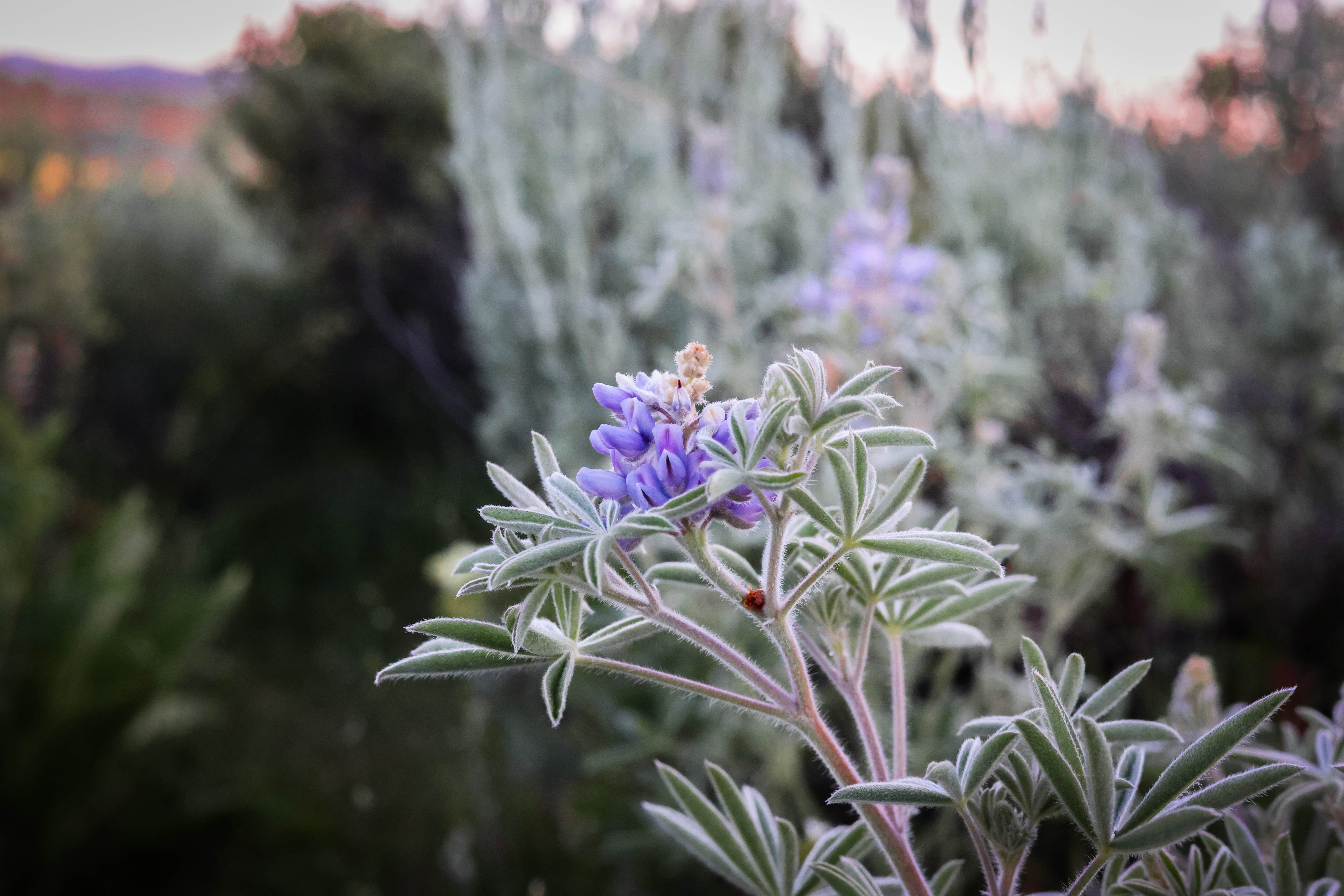 Camper-submitted photo at Buffalo Valley Campsites 4-7 near Moran, WY