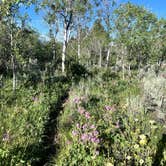 Review photo of Buffalo Valley Campsites 4-7 by Reggi M., June 29, 2025