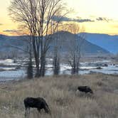 Review photo of Buffalo Valley Designated Dispersed Camping by Kyle C., October 29, 2023