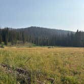 Review photo of Buffalo Valley Dispersed Camping by Aimee H., August 8, 2026