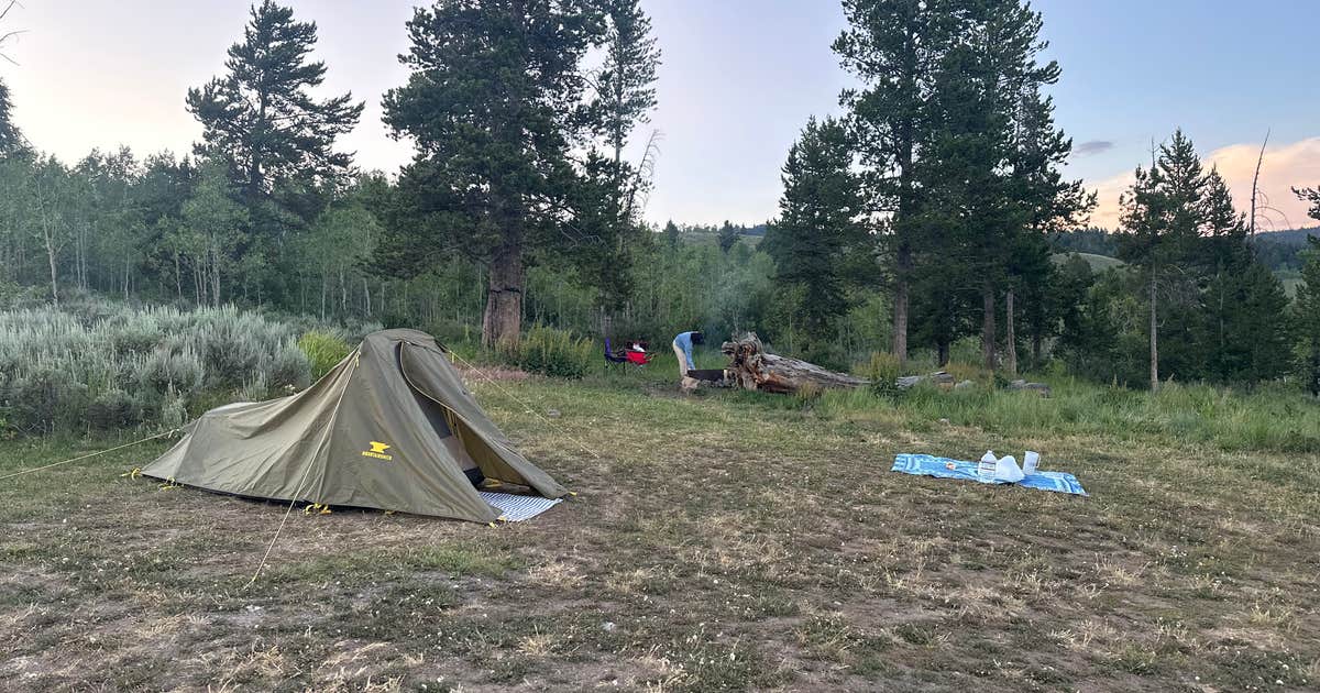 Buffalo Valley Dispersed Camping