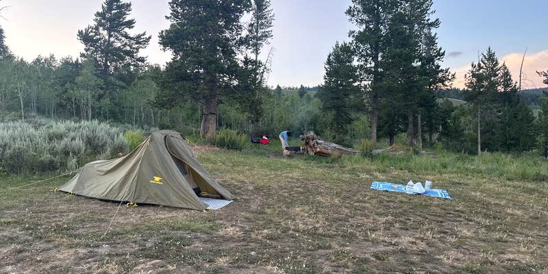 Camper submitted image from Buffalo Valley Dispersed Camping