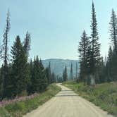 Review photo of Buffalo Valley Dispersed Camping by Aimee H., August 8, 2026
