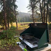 Review photo of Buffalo Valley Dispersed Camping by Aimee H., August 8, 2026