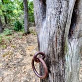 Review photo of Buggy Whip Equestrian Campground — Cooper Lake State Park South Sulphur Unit by Donna H., September 25, 2025