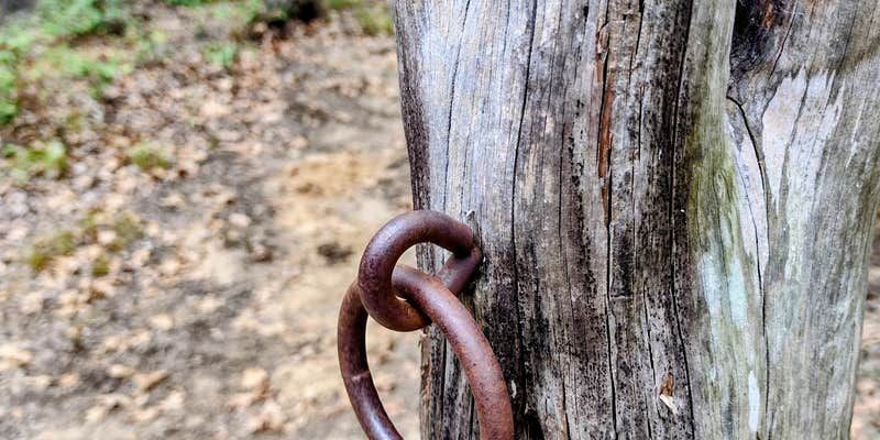 Camper submitted image from Buggy Whip Equestrian Campground — Cooper Lake State Park South Sulphur Unit