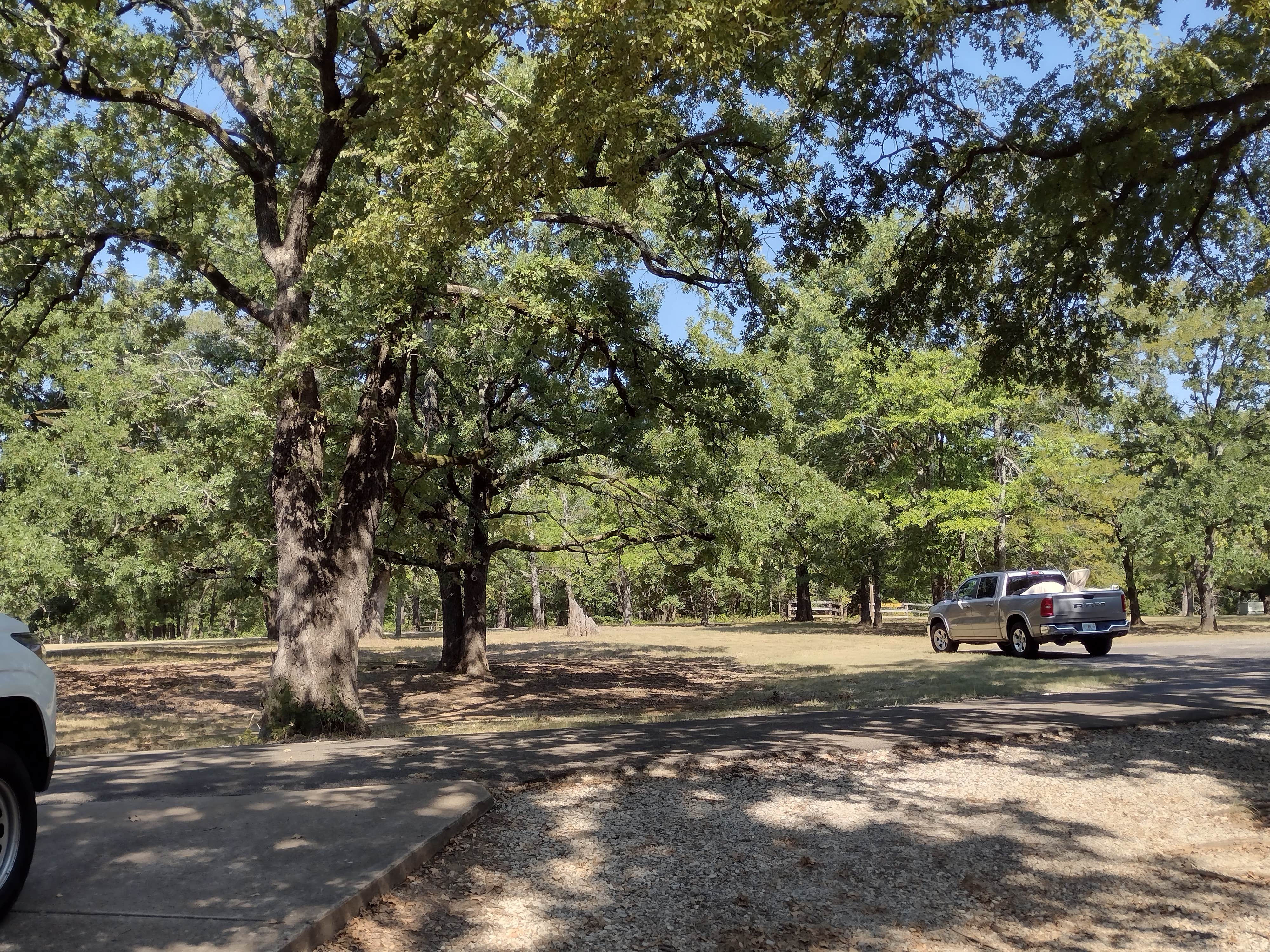 Camper-submitted photo at Buggy Whip Equestrian Campground — Cooper Lake State Park South Sulphur Unit near Commerce, TX