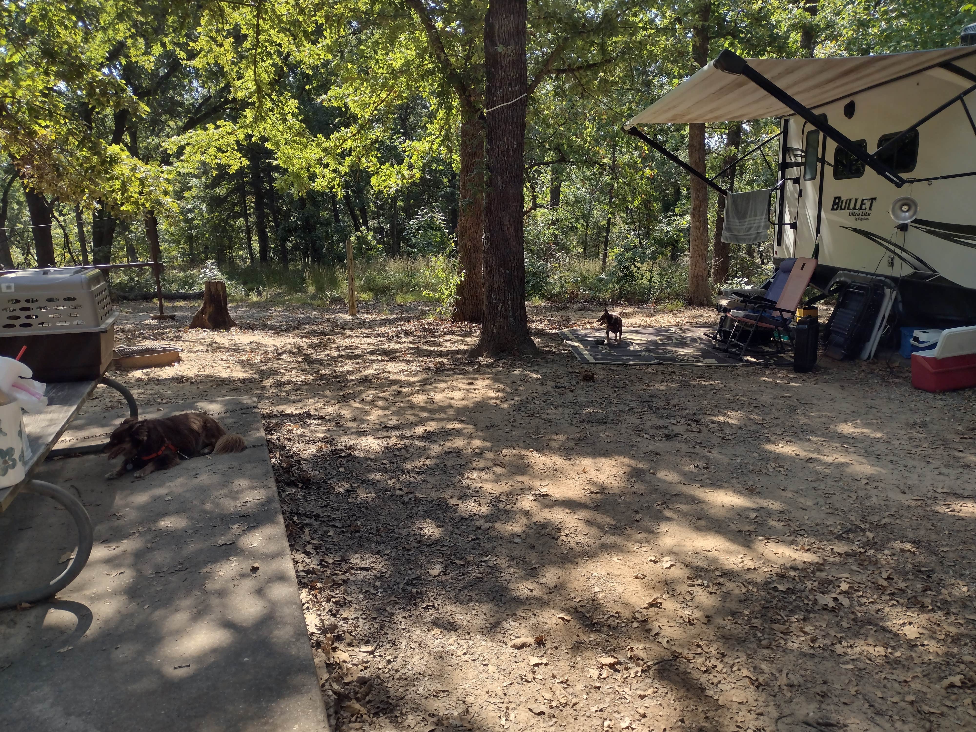Camper-submitted photo at Buggy Whip Equestrian Campground — Cooper Lake State Park South Sulphur Unit near Commerce, TX