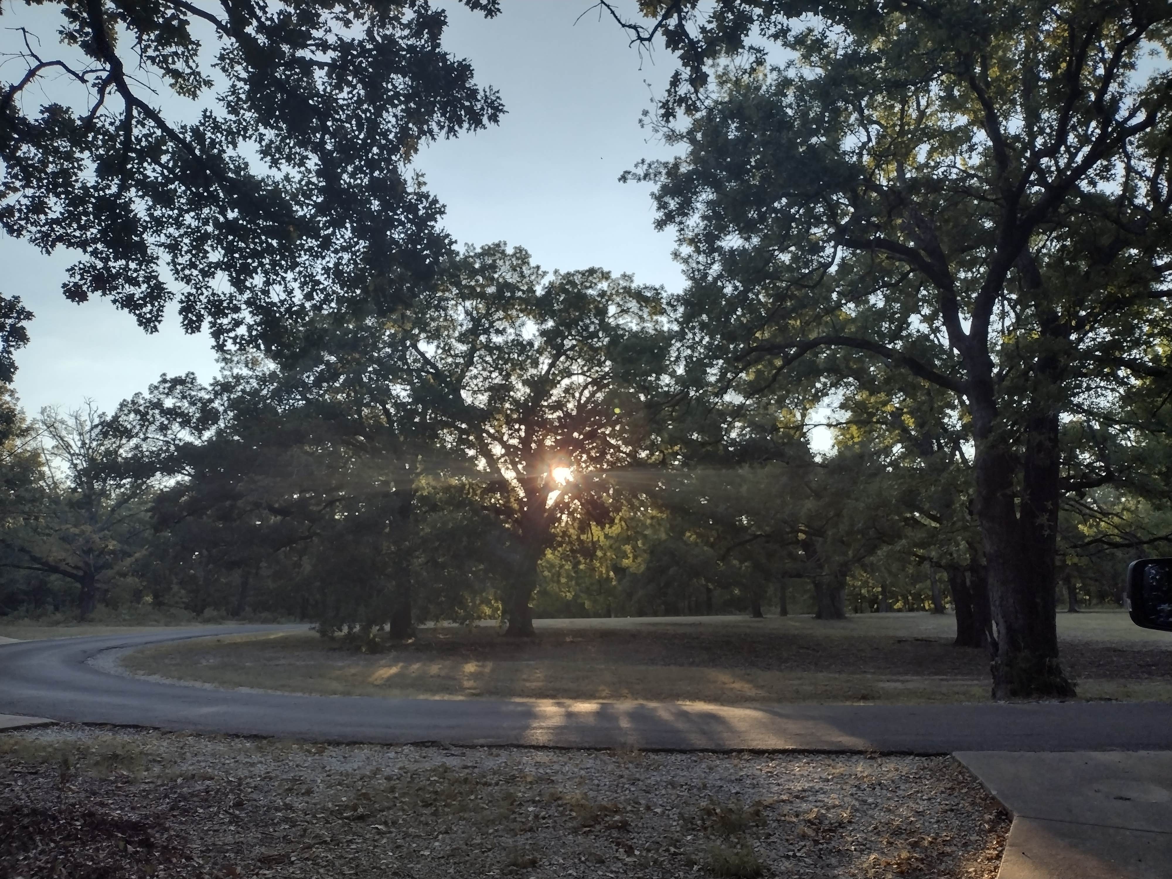 Camper-submitted photo at Buggy Whip Equestrian Campground — Cooper Lake State Park South Sulphur Unit near Commerce, TX