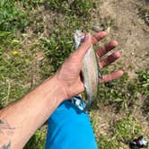 Review photo of Bull Creek by Nate H., July 28, 2026