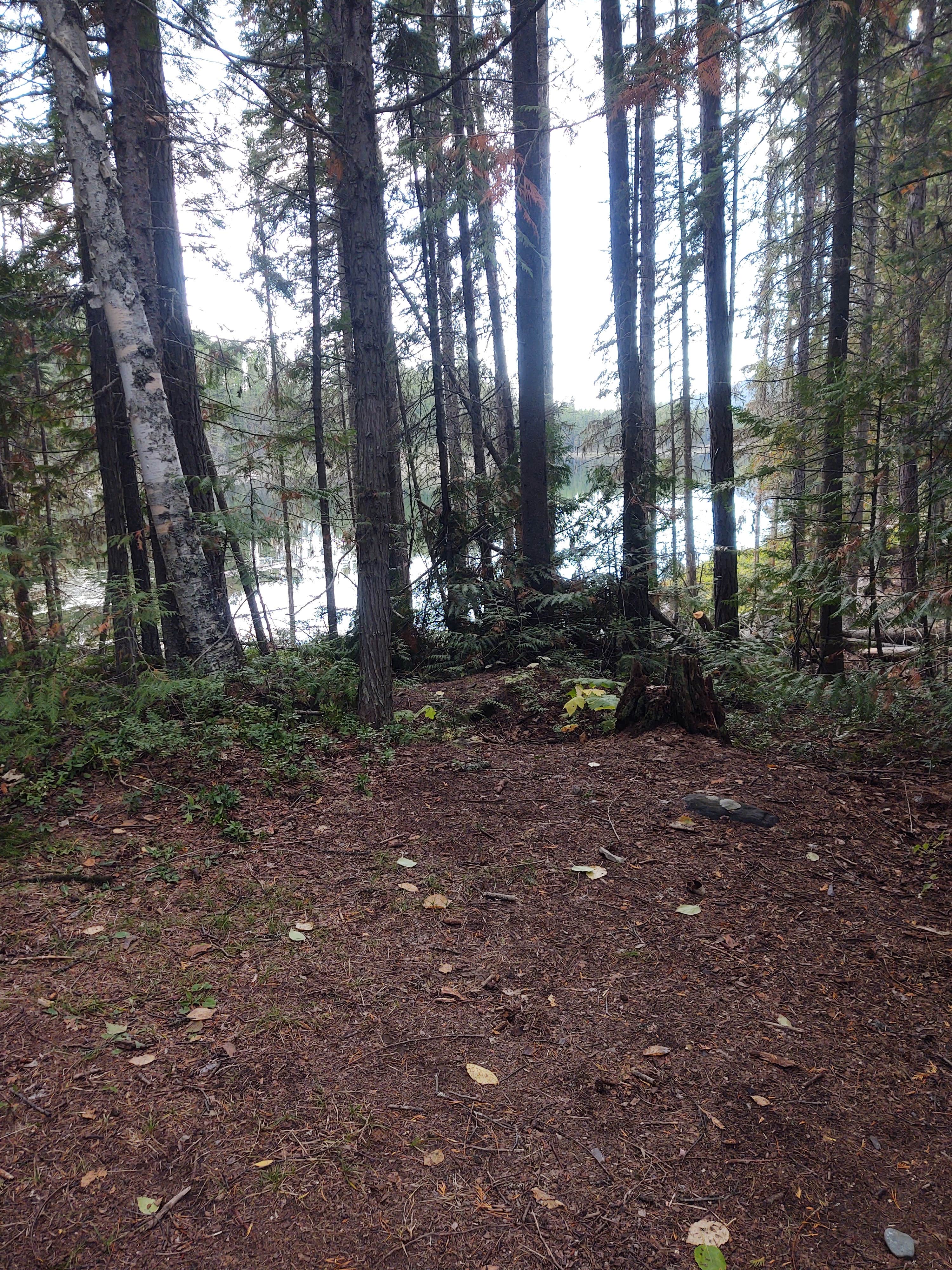 Camper-submitted photo at Bull Lake near Fortine, MT