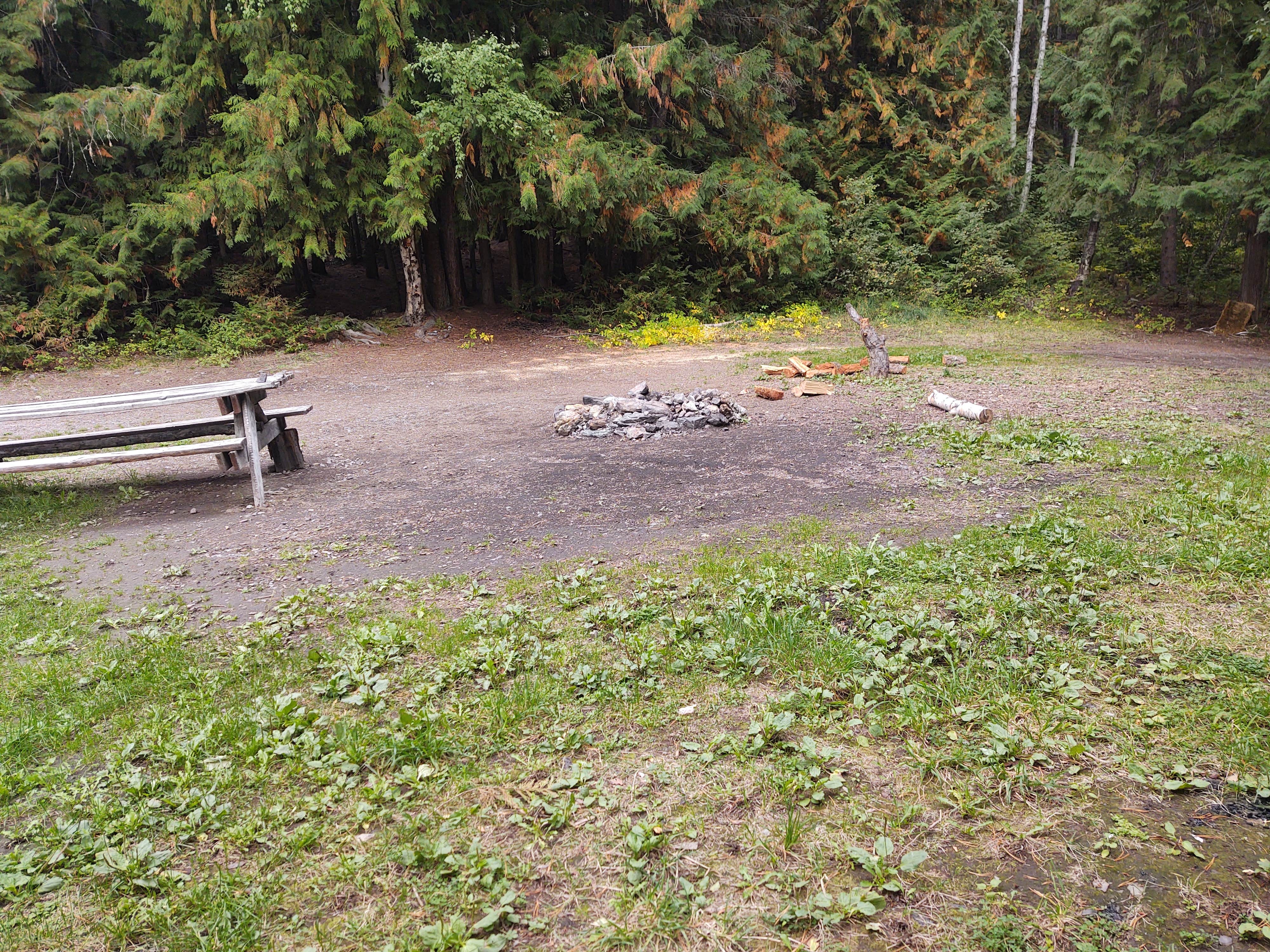 Camper submitted image from Bull Lake - 5