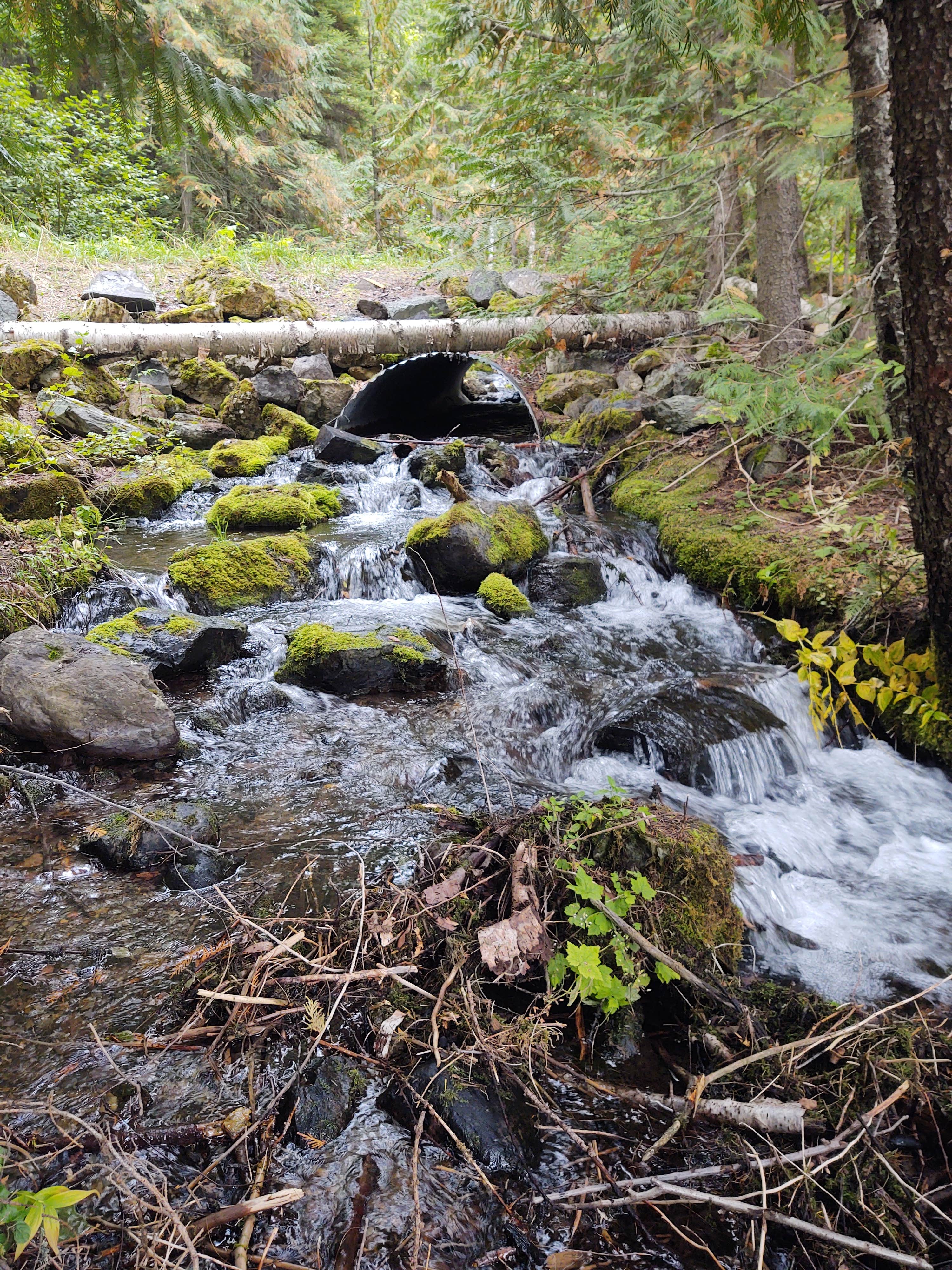 Camper-submitted photo at Bull Lake near Fortine, MT
