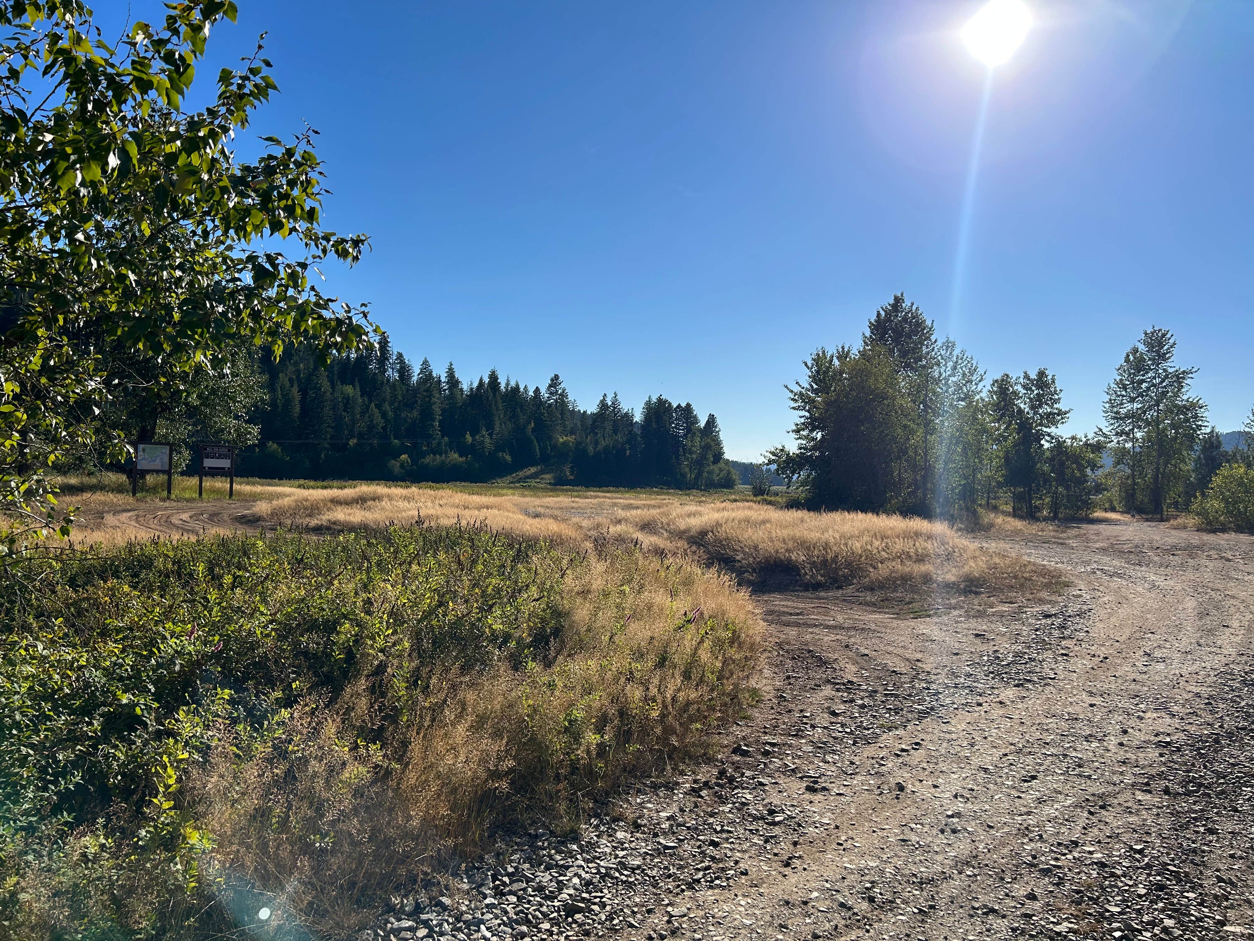 Kaitlin K.'s photo of a dispersed camping area at Bull Run Access Dispersed near Potlatch, ID
